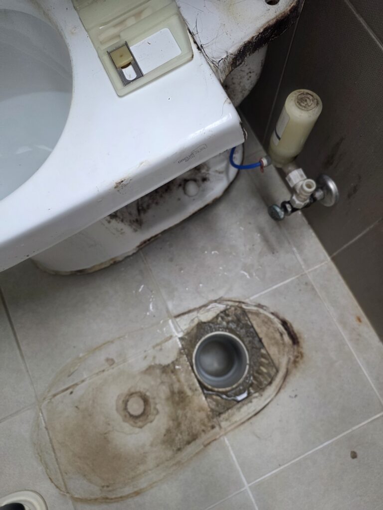 변기 막힘
